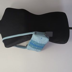 Rare Bottega Pochette